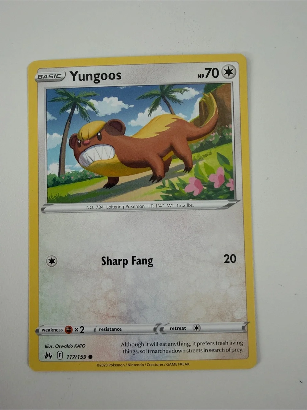 🌲 Forest Friends Pokémon Lot | Aipom Wooloo Bidoof Zangoose Jigglypuff ✨5/$25✨